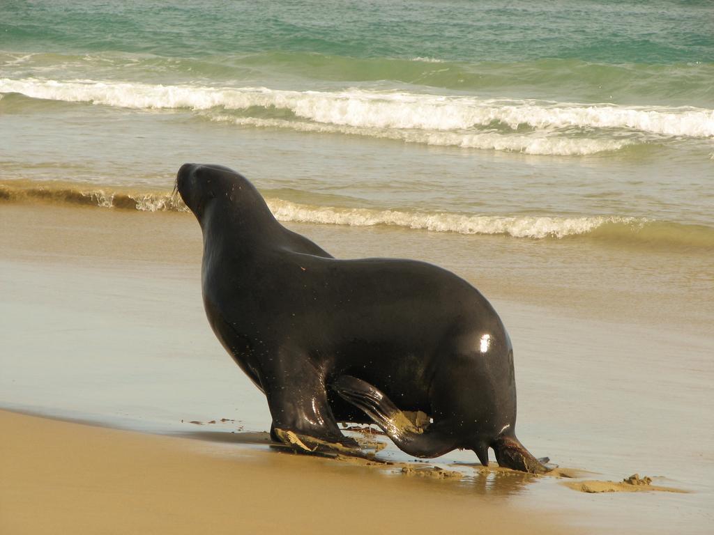 Catlins Newhaven Holiday Park Owaka Cameră foto