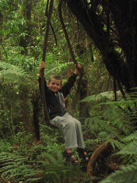 Catlins Newhaven Holiday Park Owaka Cameră foto